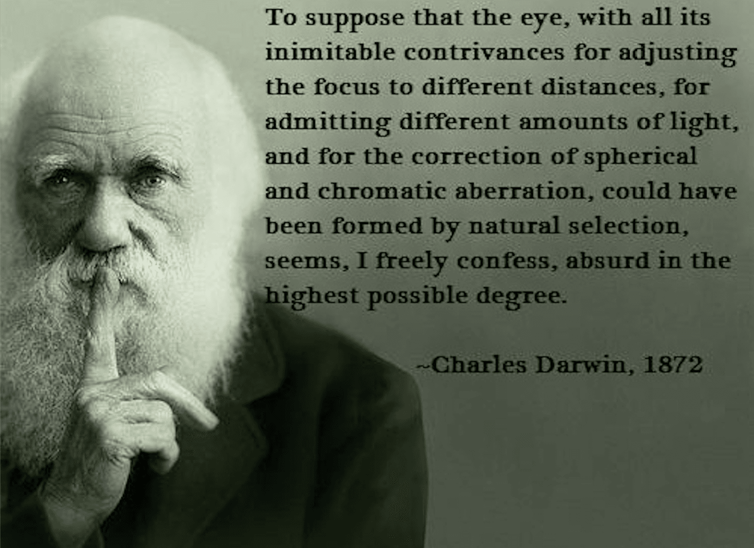 The Evolution Illusion: Six Theories Behind a Single Misconception