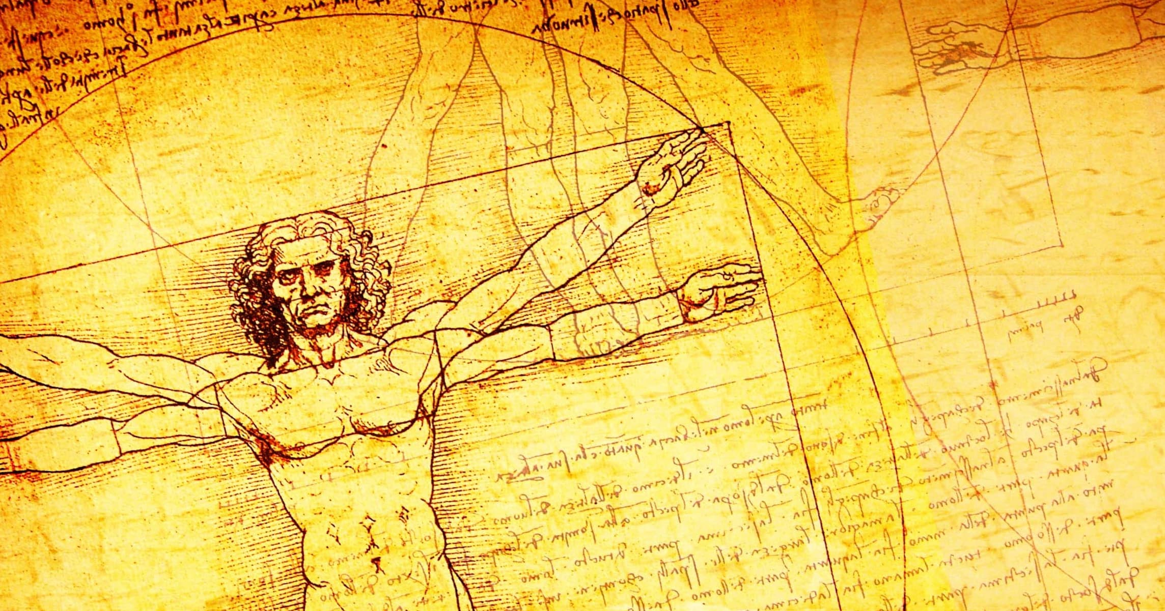 The Bible’s Hidden Genius: What Scripture Revealed About the Body Long Before Science